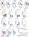 Molecular features of breast cancer in germline BRCA1 and BRCA2 pathogenic