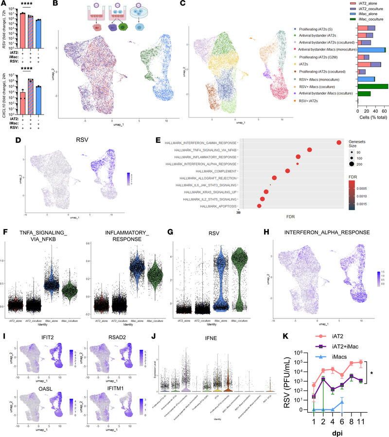 iMacs augment inflammation and antiviral immunity during viral infection...