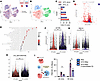 Coculture with iMacs promotes iAT2 transcriptional signature.