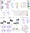 iMacs augment inflammation and antiviral immunity during viral infections o