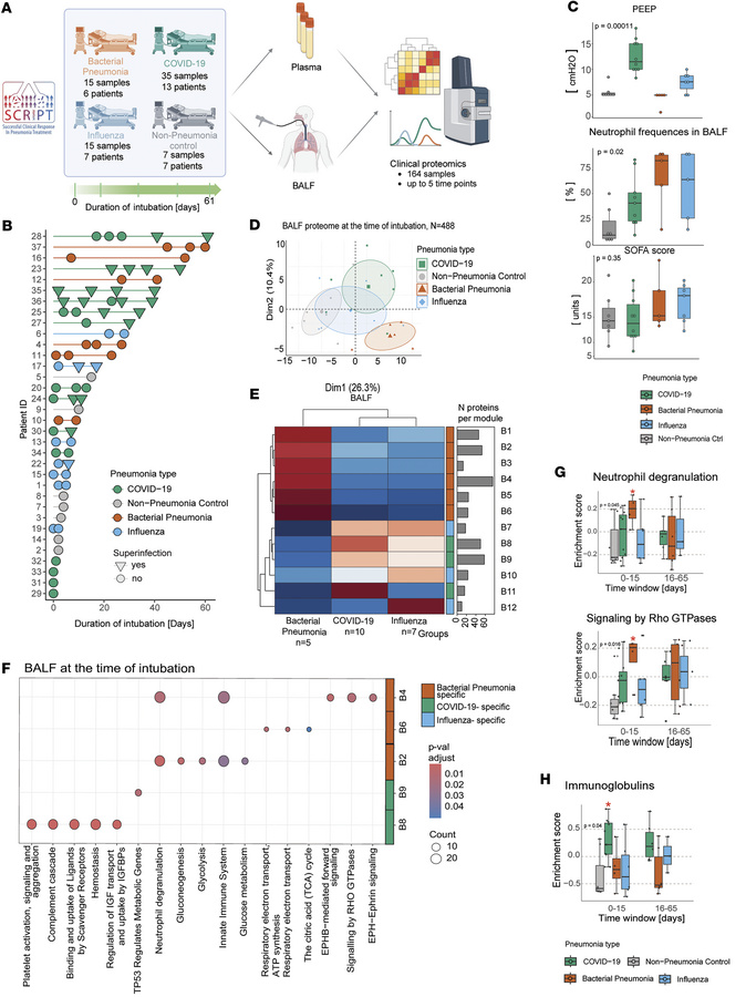 Pneumonia-specific signatures can be detected in BALF upon intubation in...