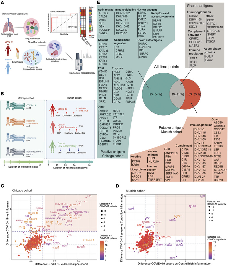 Comparative analysis of the putative autoantigen repertoire of 2 indepen...