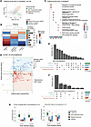 Integrative analysis of body fluid proteomes reveals lung-resident biomarke