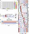 Distinct plasma cell states in patients with COVID-19 display autoimmune tr
