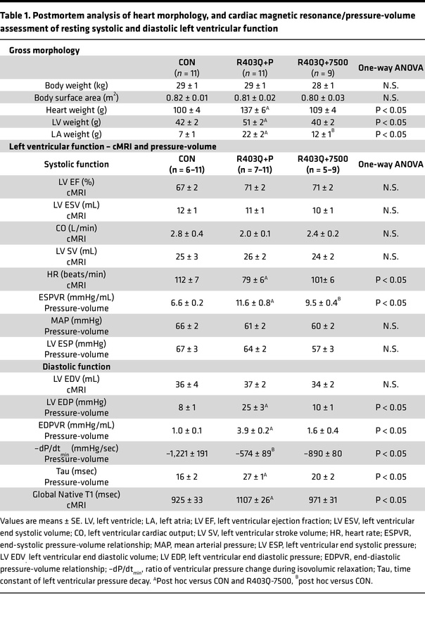 Postmortem analysis of heart morphology, and cardiac magnetic resonance/...