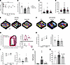 Acute and chronic EDG-7500 slows early LV time to pressure development and