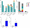 TCRs in LN and skin blister samples following intradermal GAD-alum injectio