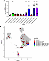 GAD specificity of re-expressed TCRs.