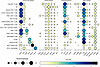 Gene expression profiles of cell subsets.