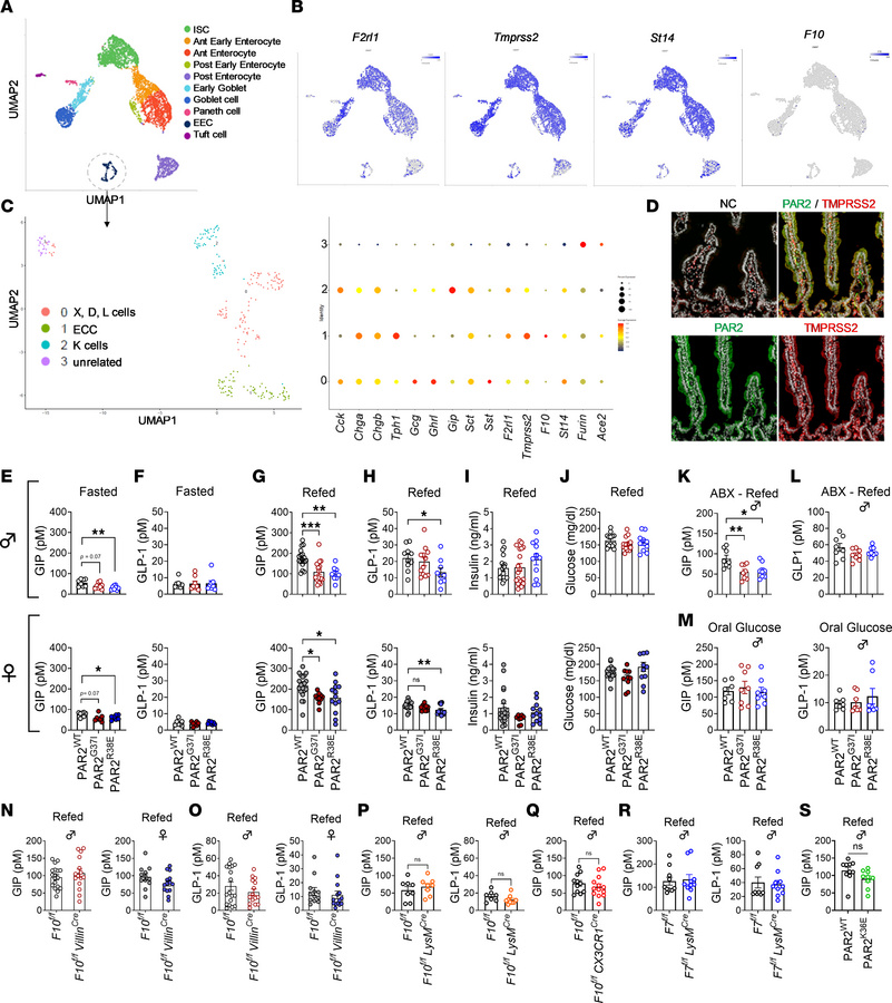 Protease-specific PAR2 signaling regulates postprandial incretin secreti...