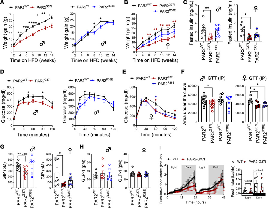 Protease-selective PAR2 activation promotes DIO.
(A and B) Weight gain o...