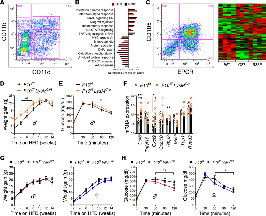FXa-PAR2 signaling promotes adipose tissue inflammation but not obesity....