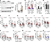 TMPRSS2 is the PAR2-activating protease regulating GIP.