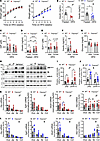 TMPRSS2 ablation improves glucose metabolism in DIO.