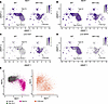 Altered expression of Myh1 and Myh4 in AR113Q muscle.