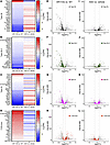 Rescue of myonuclei cluster–defining genes by AR-targeted ASO.
