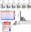PGC-1α pathway dysfunction is hormone and glutamine tract length dependent