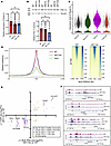 PGC-1α binding to promoters of myonuclei specification genes is altered in