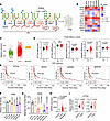N-glycan–modifying enzymes are upregulated in NSCLC.