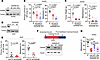 GANAB promotes tumor growth and metastasis in a enzymatic activity-dependen