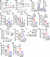 GANAB regulates lung cancer cell proliferation and motility.