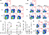 AIM assay to identify Coccidioides-specific T cell responses.