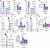 Inhibition of Lyn kinase with Bafetinib or Dasatinib mimics functional effe