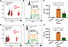 CD45 inhibition reduces phagocytosis by human and murine PMNs.
