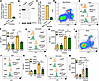 Generation of PMN-specific CD45-deficient mice.