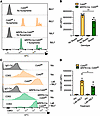 Cd45 depletion decreases PMN degranulation and phagocytosis responses.