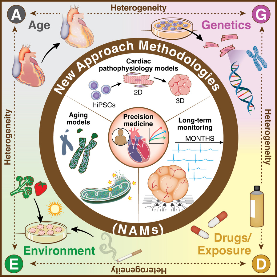Integrating age, genetics, environment, and drug exposure through new ap...