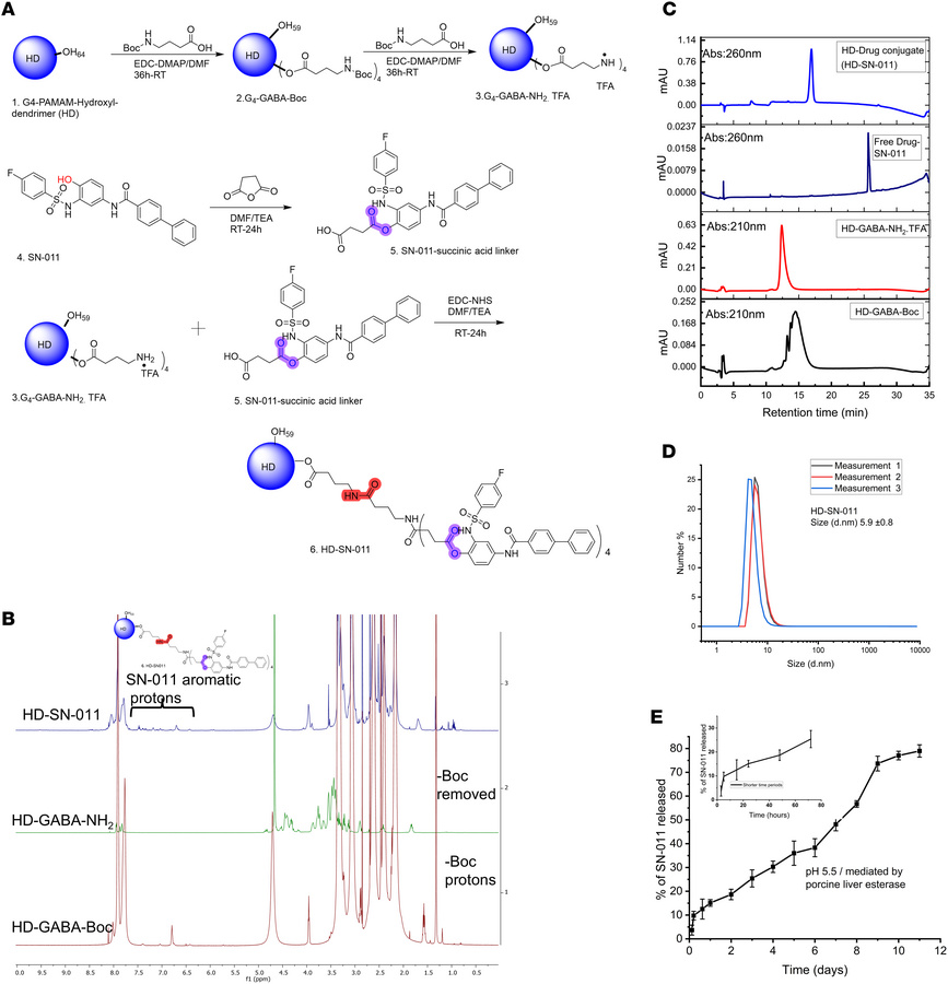 Synthesis and characterization of HD-SN-011 with improved solubility and...