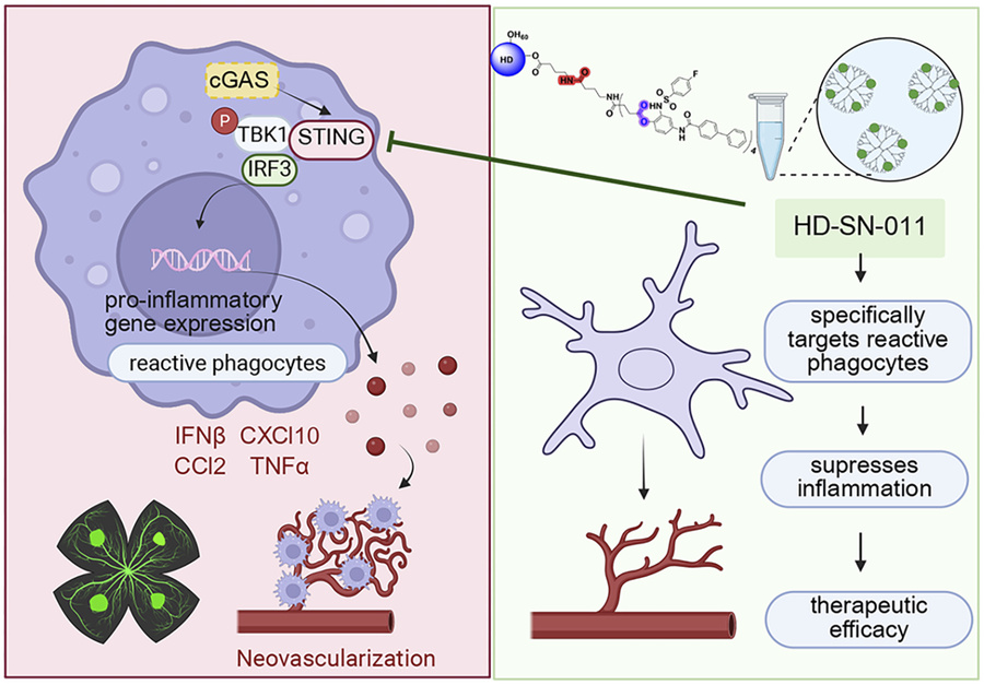 graphical abstract