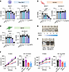 HD-SN-011 exhibits solubility, low cytotoxicity, and excellent ocular safet