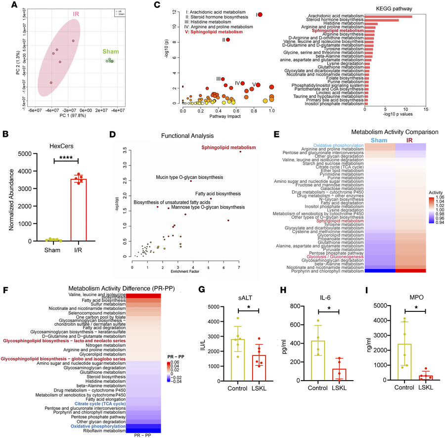 Metabolic reprogramming of KCs after I/R associates with CD36-enriched s...