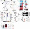 Neutrophil-KC interaction is selectively enriched via TSP-1/CD36 signaling