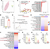 Metabolic reprogramming of KCs after I/R associates with CD36-enriched sign