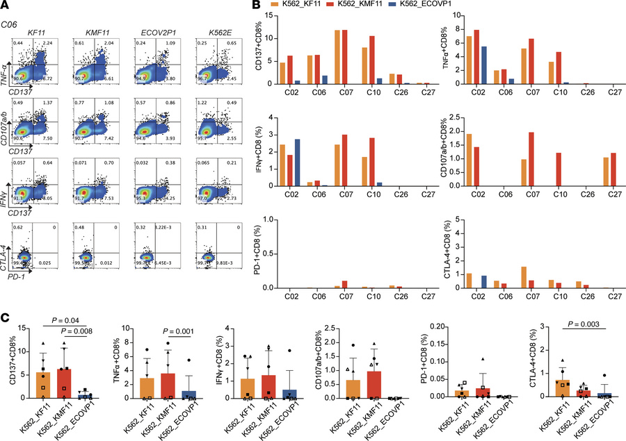 Functional characterization of HLA-E–restricted CD8+ T cell clones in re...