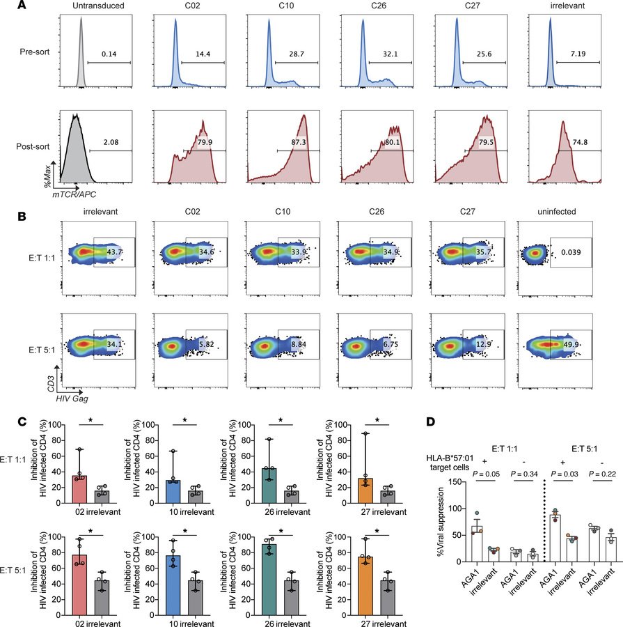 Antiviral effect of KMF11-specific TCR CD8+ T cell transductants against...