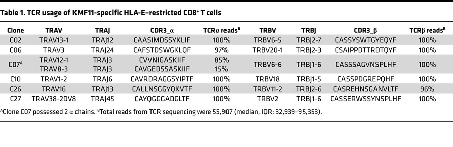 TCR usage of KMF11-specific HLA-E–restricted CD8+ T cells