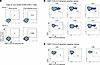Generation of KMF11-specific HLA-E–restricted CD8 cell clones using an in v