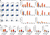 Functional characterization of HLA-E–restricted CD8+ T cell clones in respo