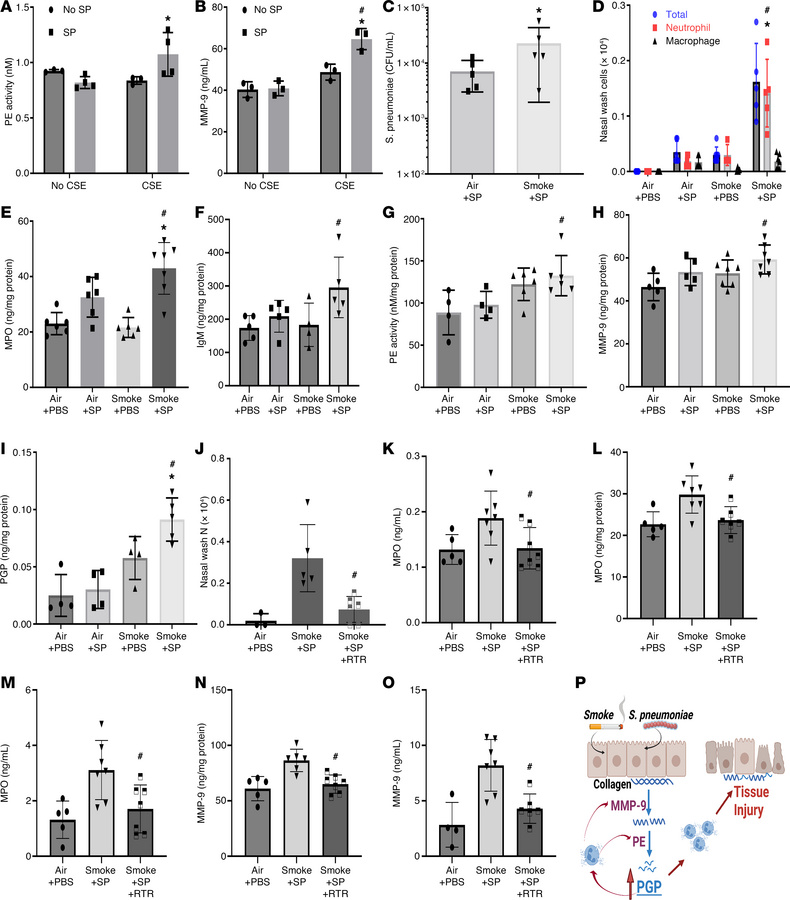 Matrikine PGP is involved in S. pneumoniae and cigarette smoke–induced r...