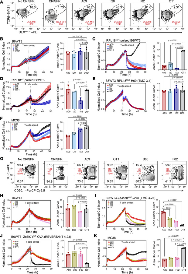 Anti-neoantigen TCR-transduced primary T cells kill neoantigen-expressin...