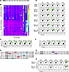 Identification of neoantigen-reactive TCRs.