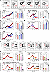Anti-neoantigen TCR-transduced primary T cells kill neoantigen-expressing t