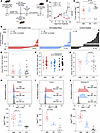 Treatment of MC38 tumors with anti-Rpl18 TCR-transduced T cells.