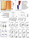 rhIL-7-hyFc–induced transcriptional changes in T cells.