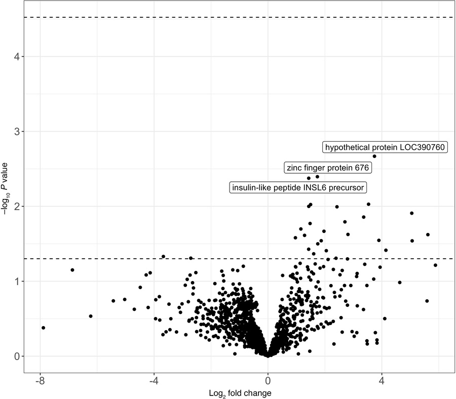 Reactivity of donor human autoantibody targets and rejections among reci...