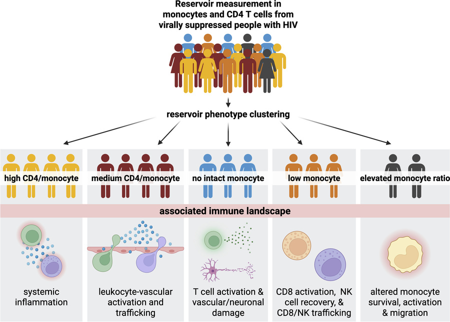graphical abstract